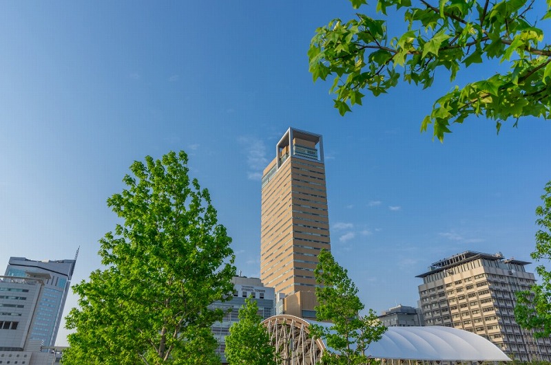 代表